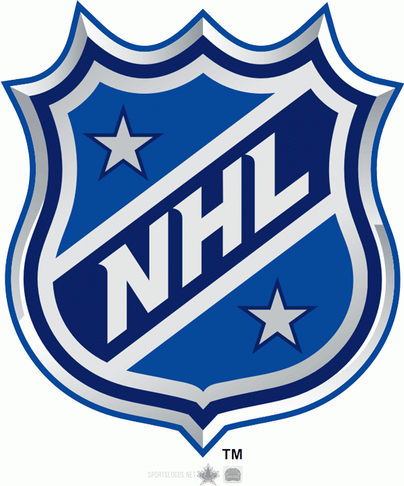NHL All-Star Game 2010-2012 Team Logo v2 DIY iron on transfer (heat transfer)